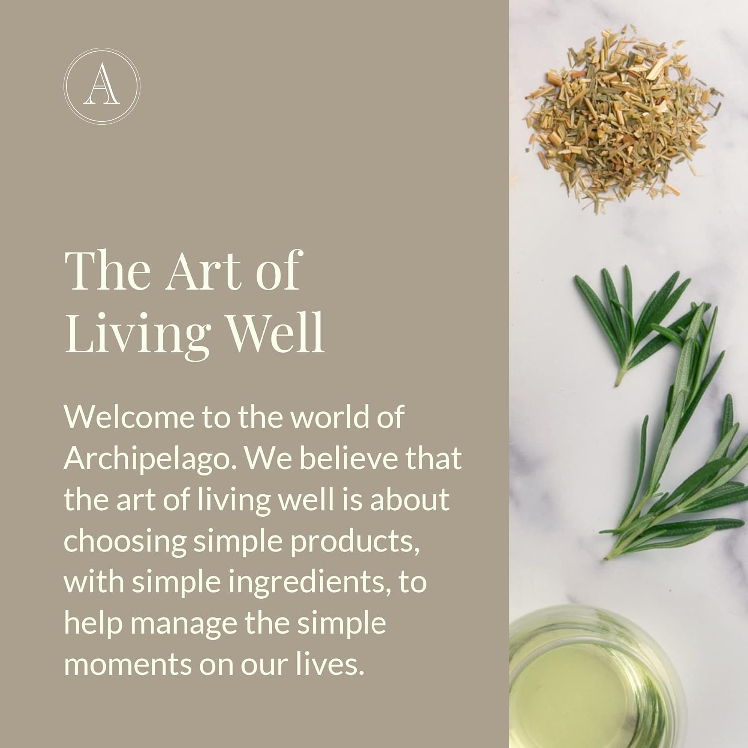 Oat Milk Nourishing Body Lotion – 18 oz